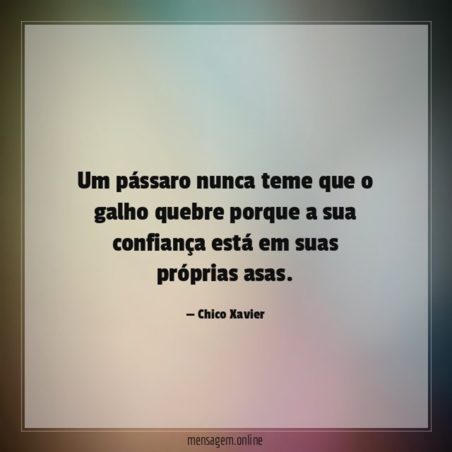 Um pássaro nunca teme que o galho quebre