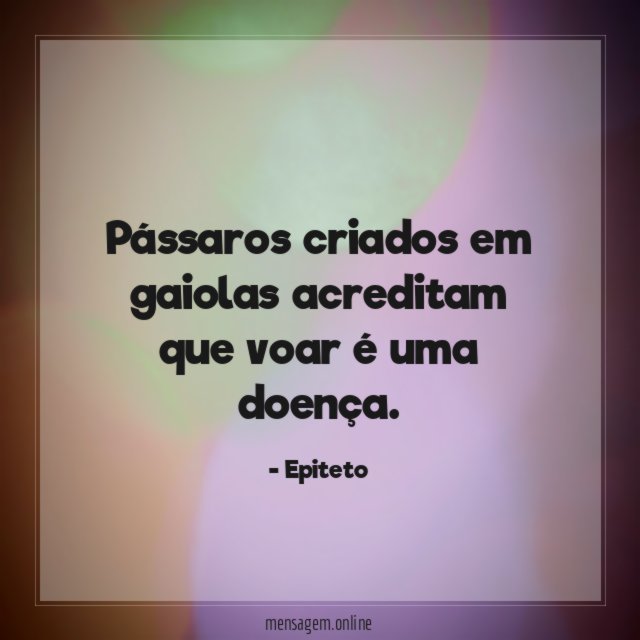 Pássaros criados em gaiolas acreditam que voar é uma doença