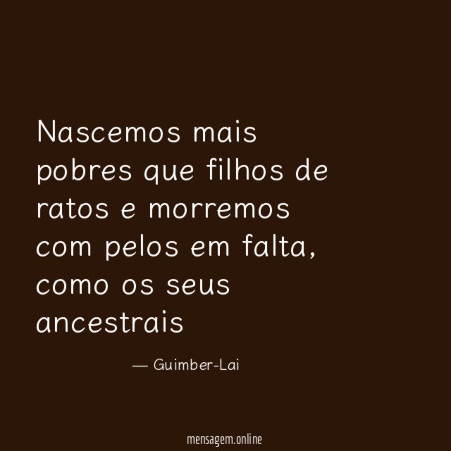 Nascemos mais pobres que filhos de ratos