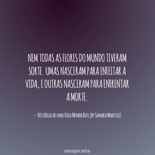 Nem todas as flores do mundo tiveram sorte