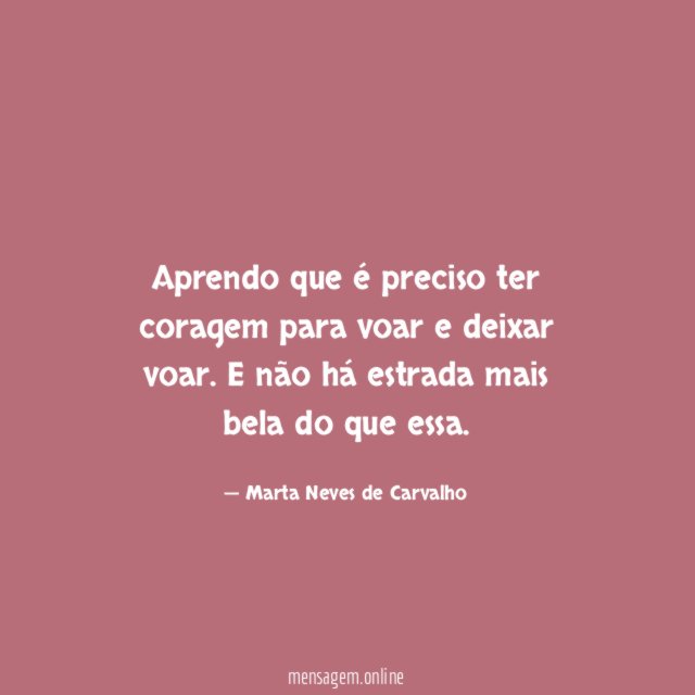 Aprendo que é preciso ter coragem para voar e deixar voar
