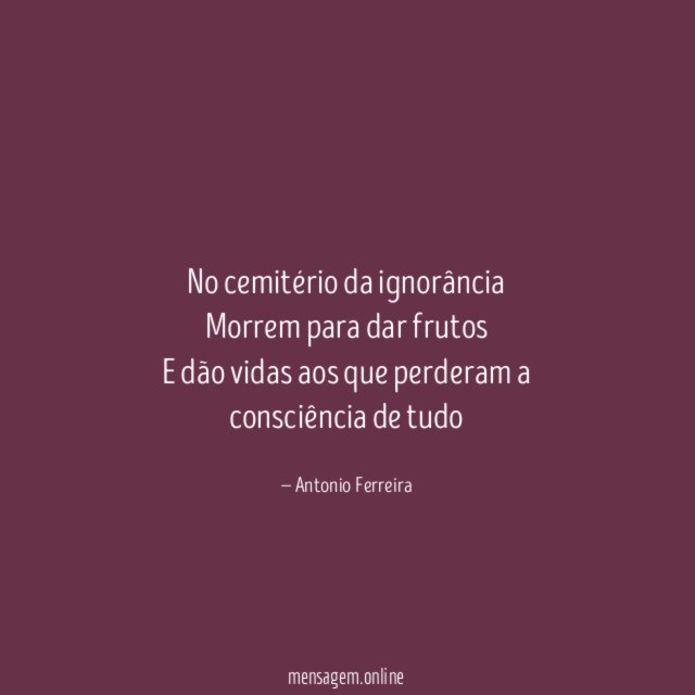 No cemitério da ignorância Morrem para dar frutos E dão