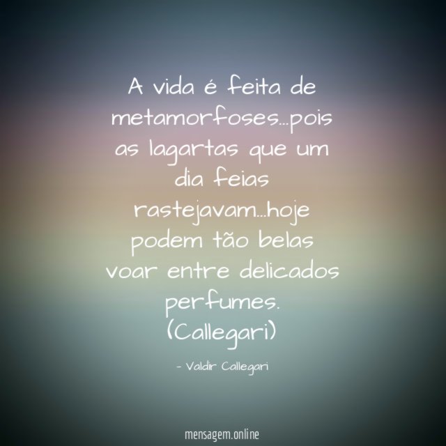 A vida é feita de metamorfoses…pois as lagartas que um dia feias rastejavam…hoje podem tão belas voar entre delicados perfumes.