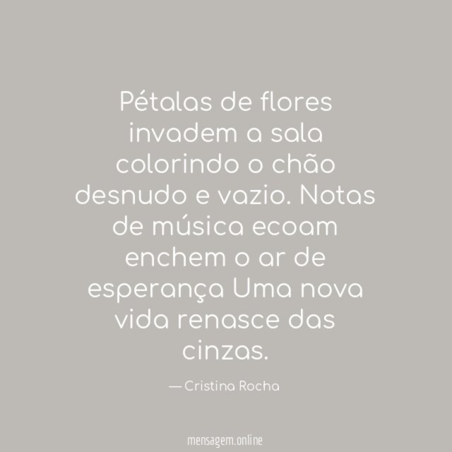 Pétalas de flores invadem a sala colorindo o chão desnudo