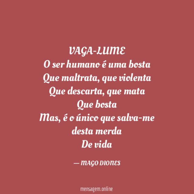 VAGA-LUME