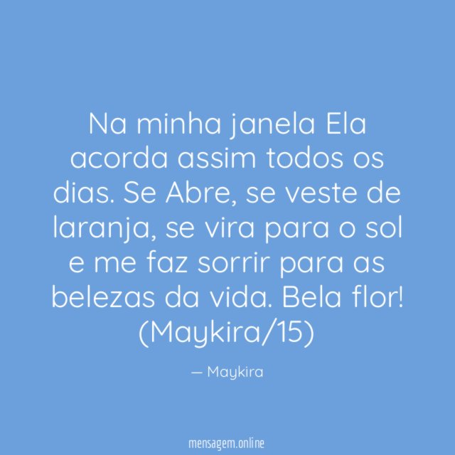 Na minha janela Ela acorda assim todos os dias