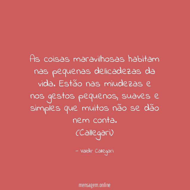 As coisas maravilhosas habitam nas pequenas delicadezas da vida. Estão nas miudezas e nos gestos pequenos, suaves e simples que muitos não se dão nem conta.