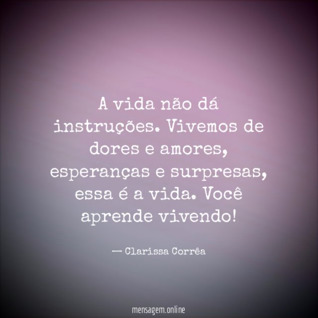 A vida não dá instruções