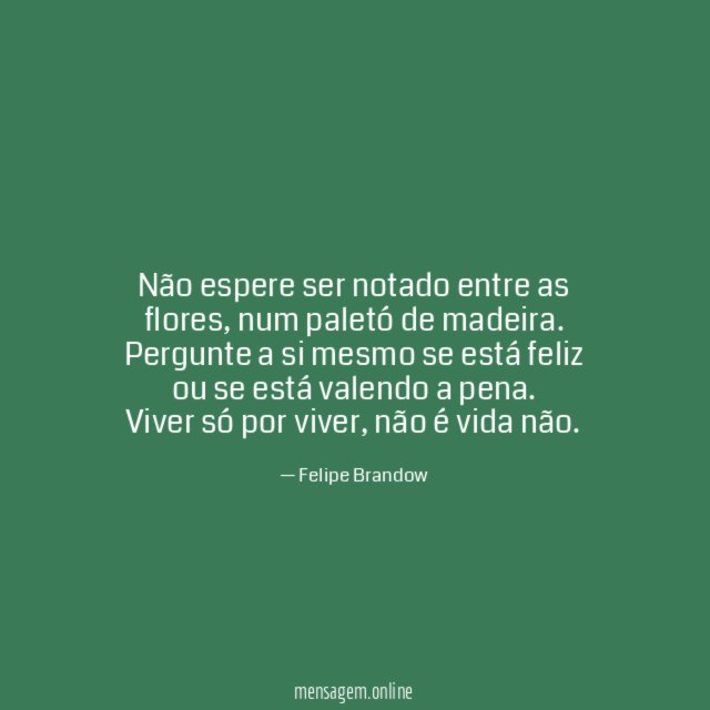 Não espere ser notado entre as flores