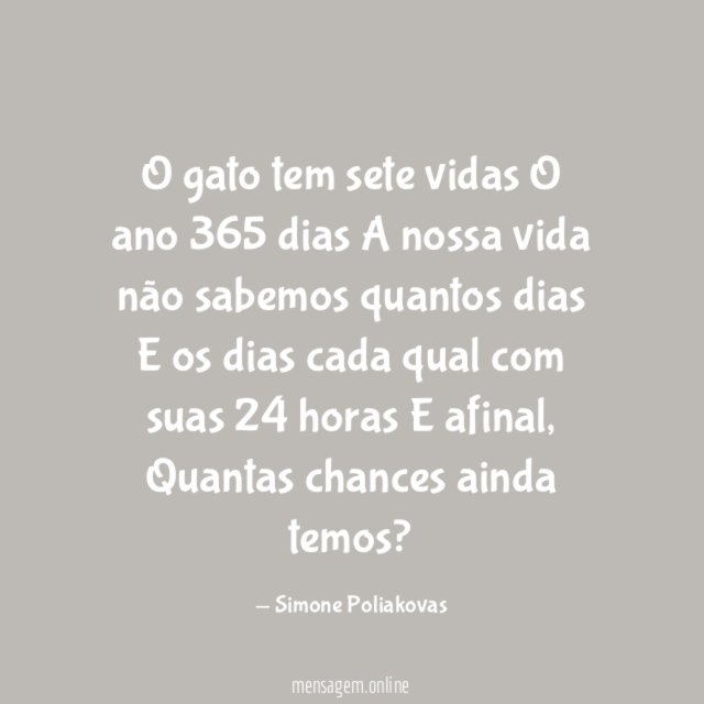 O gato tem sete vidas O ano 365 dias A