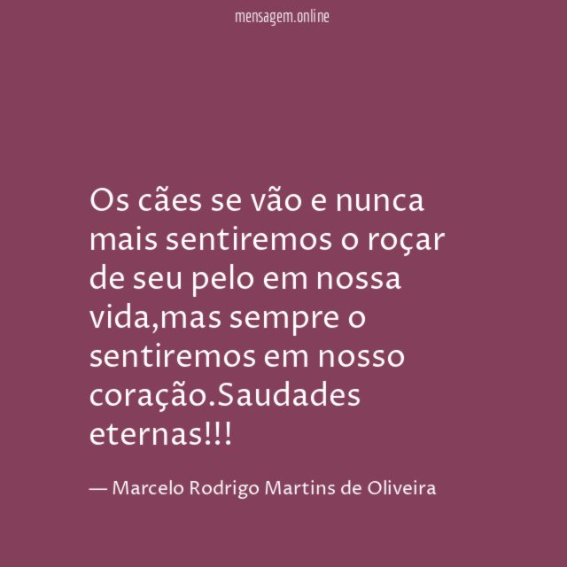 Os cães se vão e nunca mais sentiremos