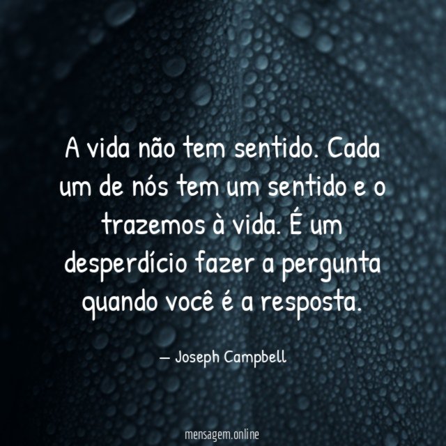 A vida não tem sentido