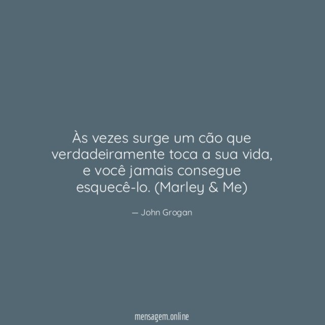 Às vezes surge um cão que verdadeiramente toca a sua vida