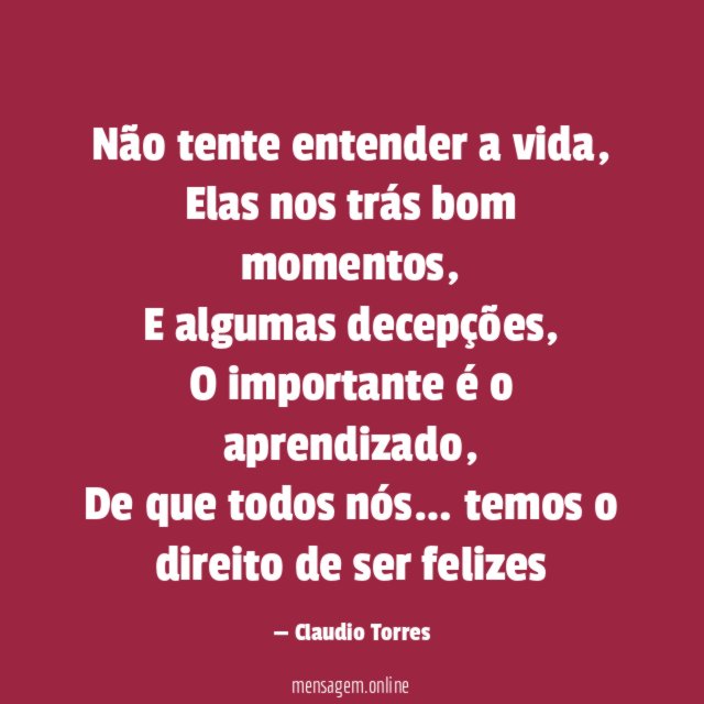 Não tente entender a vida