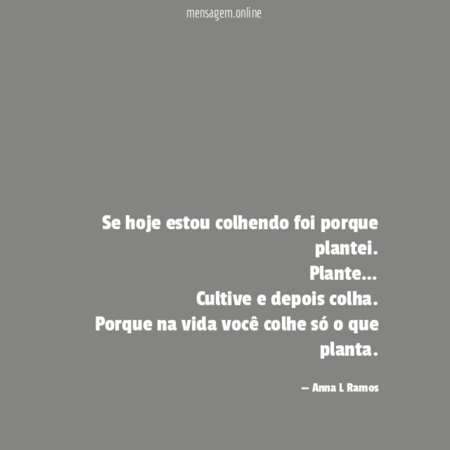 Se hoje estou colhendo foi porque plantei