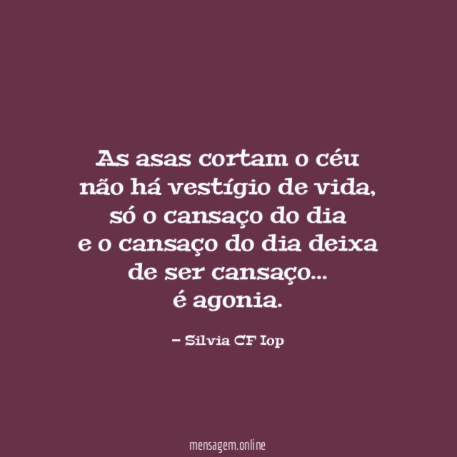 As asas cortam o céu não há vestígio de