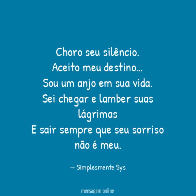Choro seu silêncio