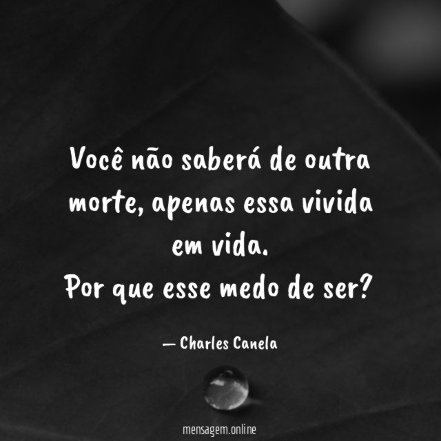 Você não saberá de outra morte, apenas essa vivida em vida.