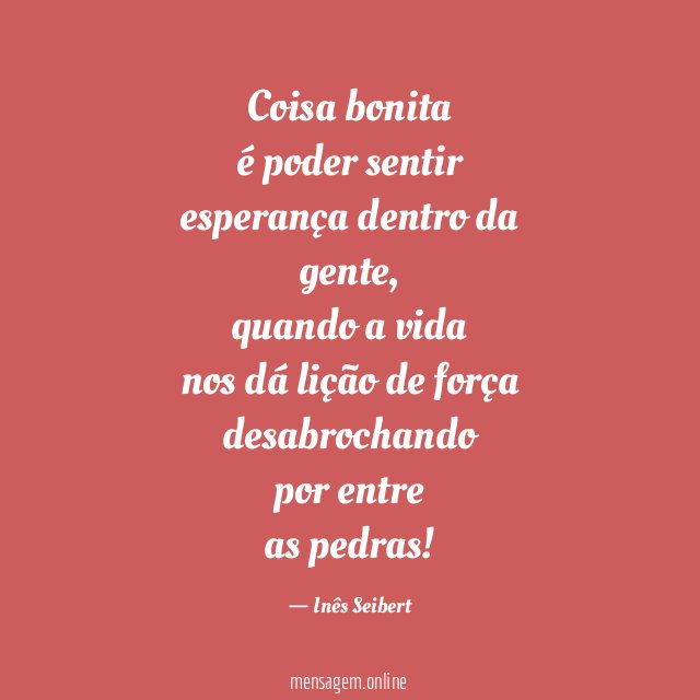 Coisa bonita
é poder sentir
esperança dentro da
gente,
quando a vida
nos dá lição de força
desabrochando
por entre
as pedras!