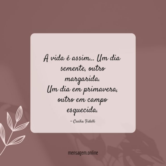 A vida é assim