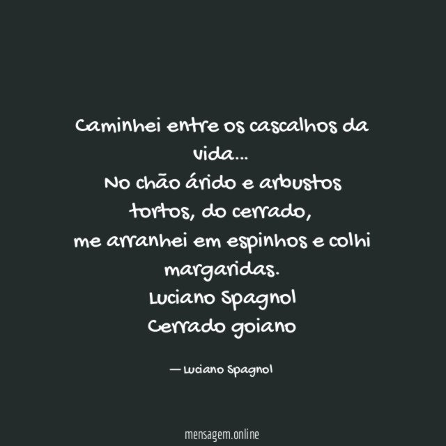 Caminhei entre os cascalhos da vida…
No chão árido e arbustos tortos, do cerrado,
me arranhei em espinhos e colhi margaridas.
