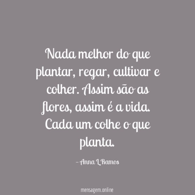 Nada melhor do que plantar