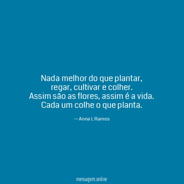 Nada melhor do que plantar
