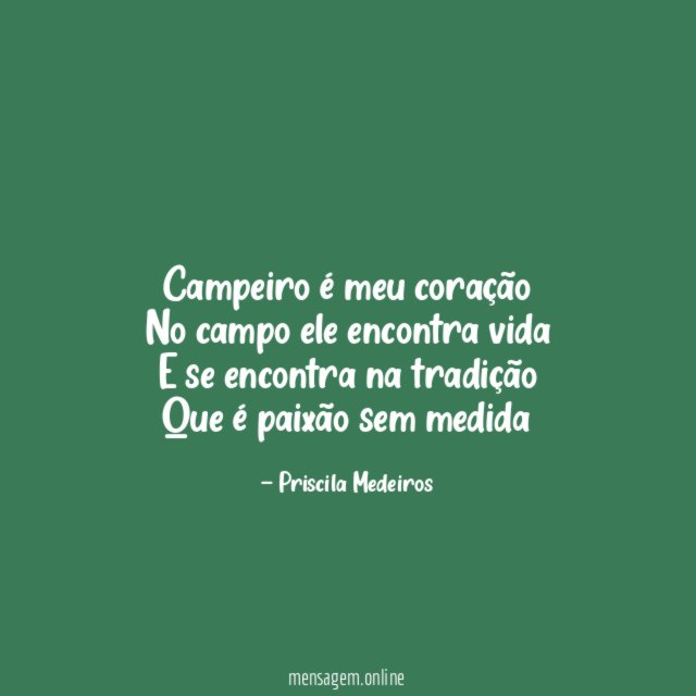 Campeiro é meu coração No campo ele encontra vida E