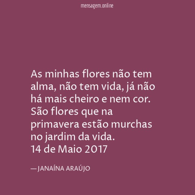As minhas flores não tem alma, não tem vida, já não há mais cheiro e nem cor. São flores que na primavera estão murchas no jardim da vida.