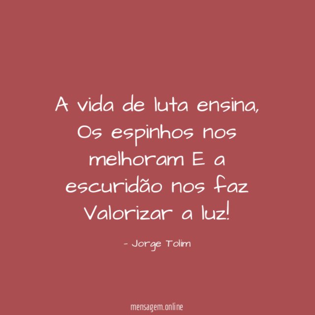 A vida de luta ensina