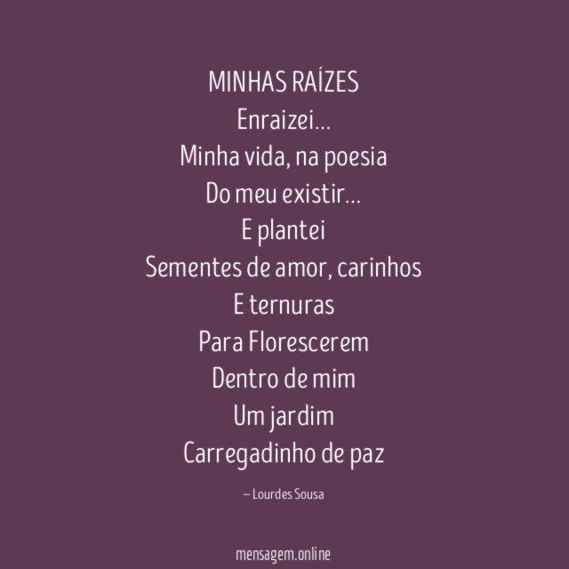 MINHAS RAÍZES