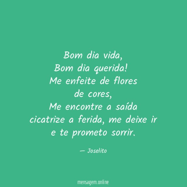 Bom dia vida