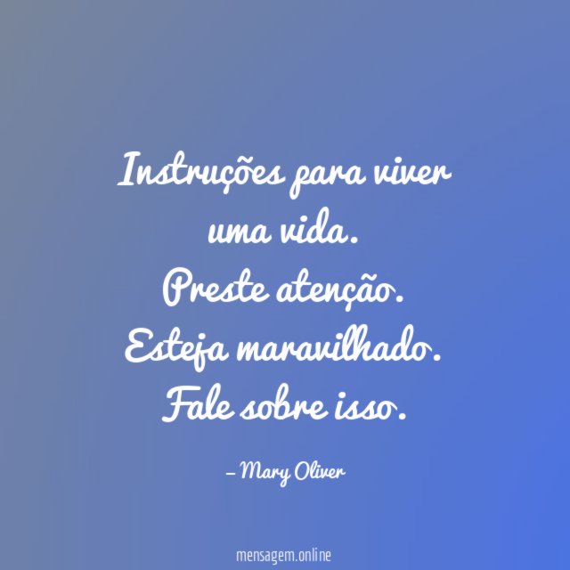 Instruções para viver uma vida