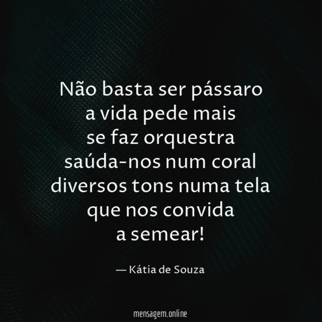 Não basta ser pássaro a vida pede mais se faz