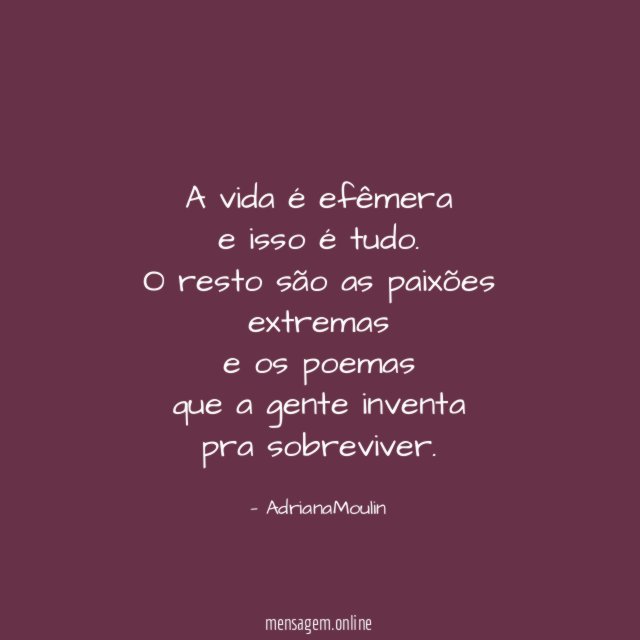 A vida é efêmera e isso é tudo