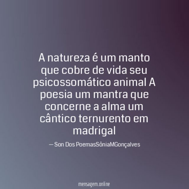 A natureza é um manto que cobre de vida