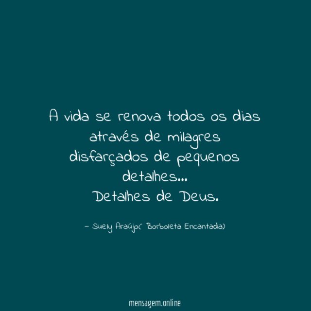 A vida se renova todos os dias através de milagres disfarçados de pequenos detalhes…