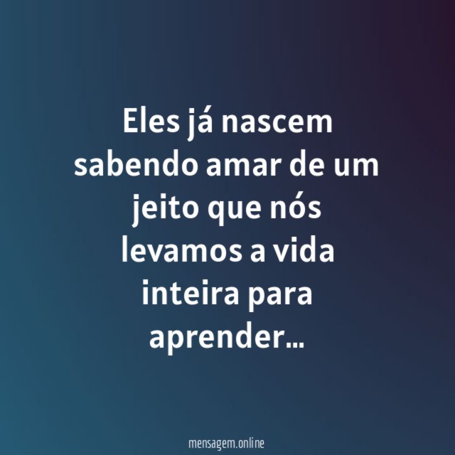 Eles já nascem sabendo amar