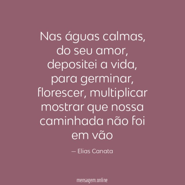 Nas águas calmas