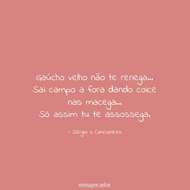 Gaúcho velho não te renega