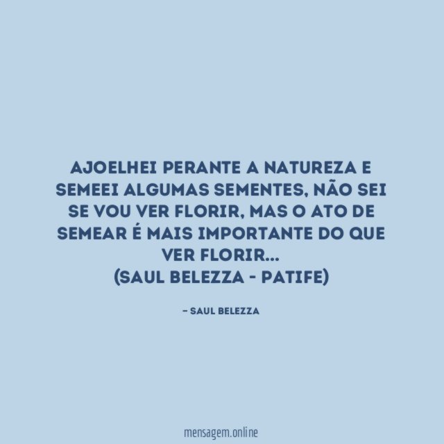 Ajoelhei perante a natureza e semeei algumas sementes