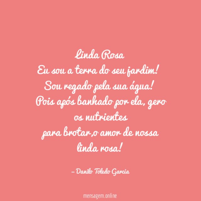 Linda Rosa Eu sou a terra do seu jardim