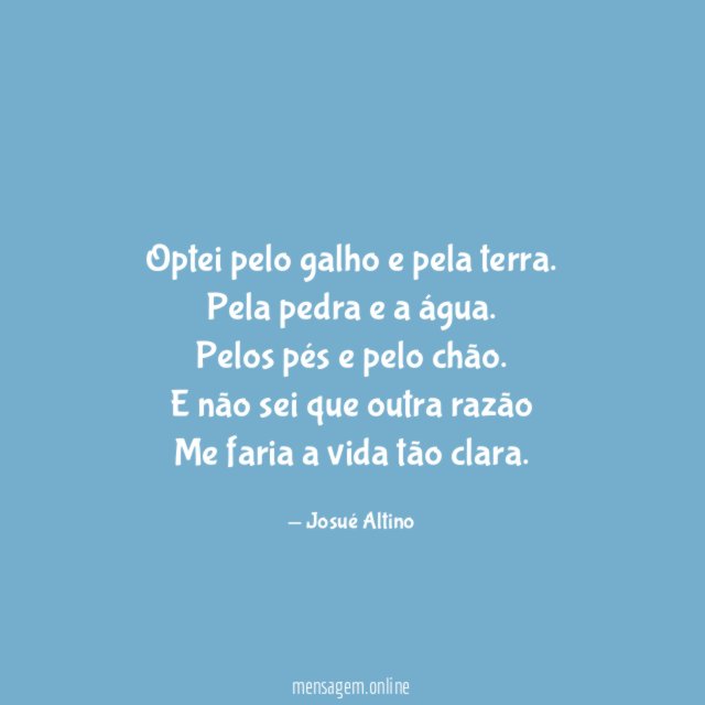 Optei pelo galho e pela terra