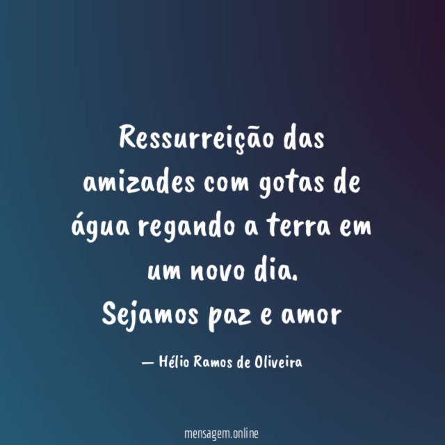 Ressurreição das amizades com gotas de água regando a terra em um novo dia.