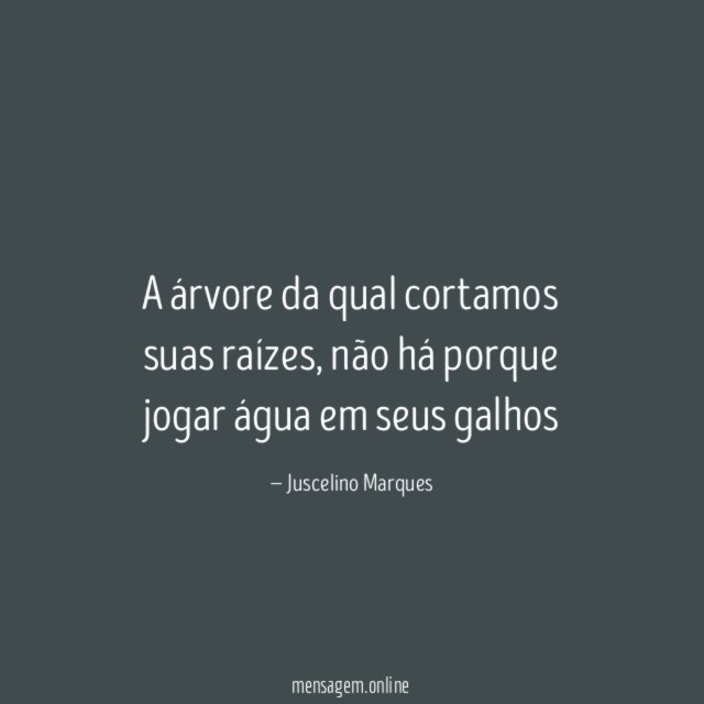 A árvore da qual cortamos suas raízes