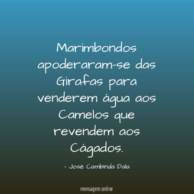 Marimbondos apoderaram-se das Girafas para venderem água aos