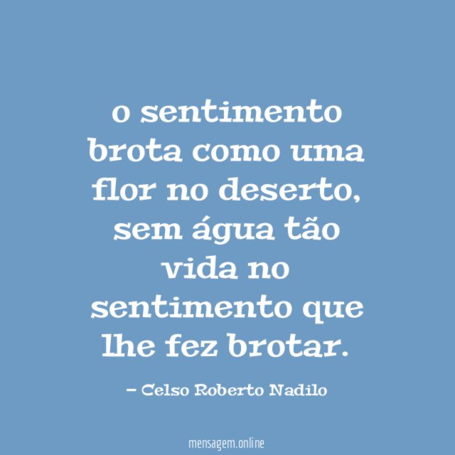 o sentimento brota como uma flor no deserto