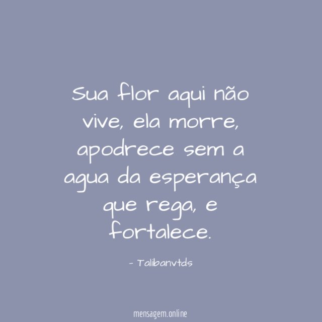 Sua flor aqui não vive