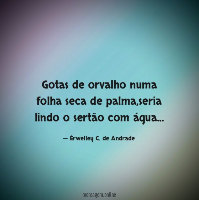 Gotas de orvalho numa folha seca de palma