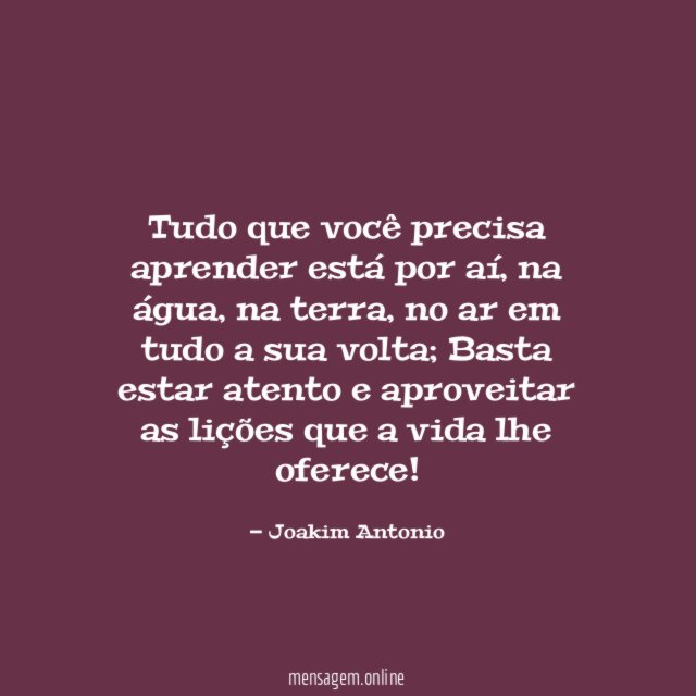 Tudo que você precisa aprender está por aí